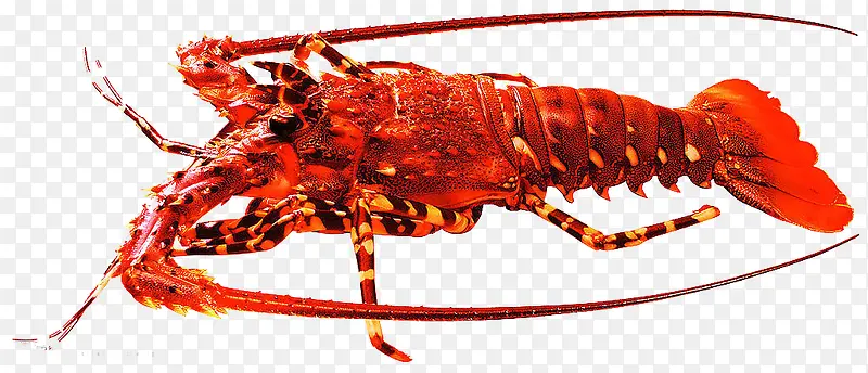 ��ɫ��Ʒ��Ϻ-������