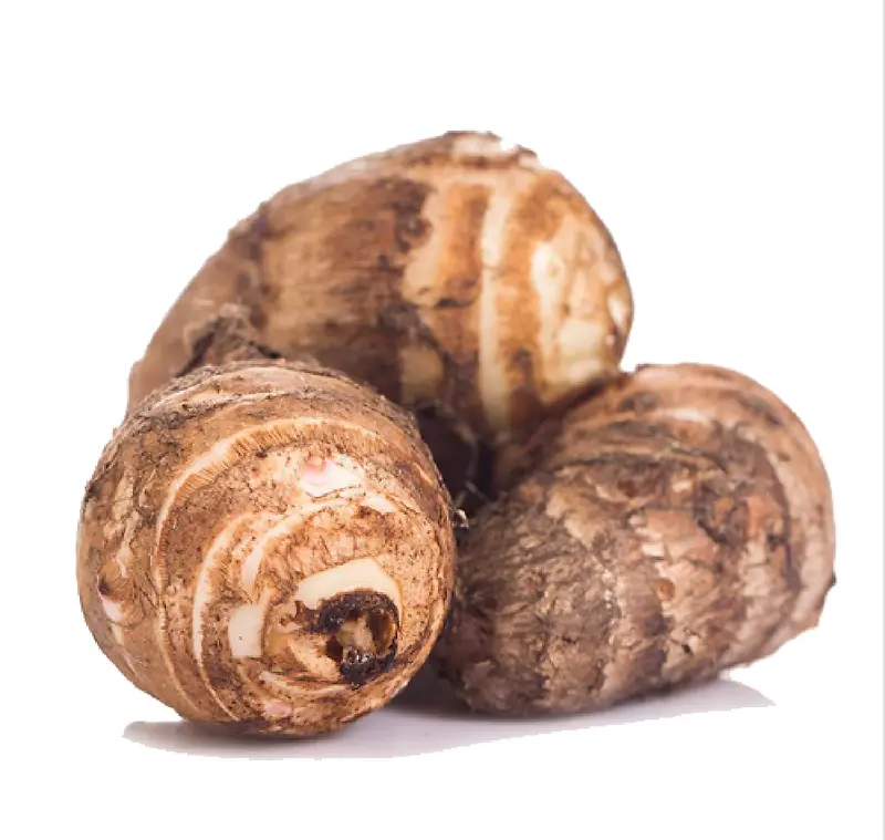 ����-������