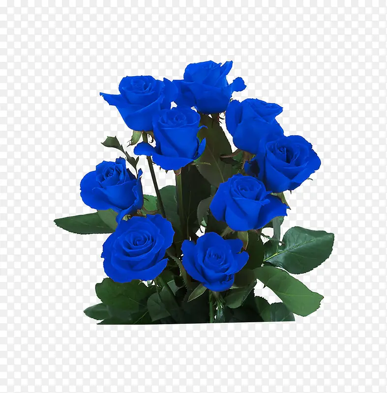 ��ɫõ��-������