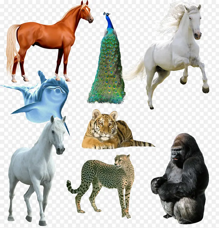 ������ͼ-������