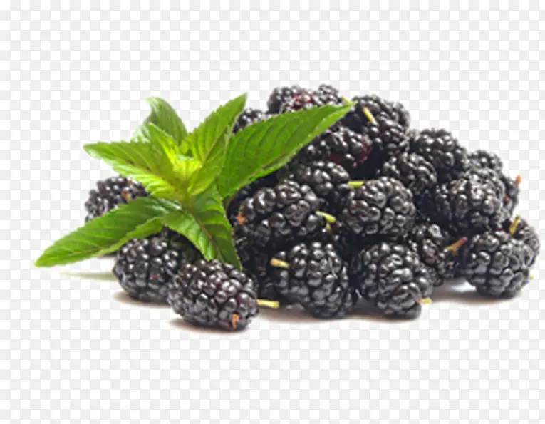 ɣɭ-������