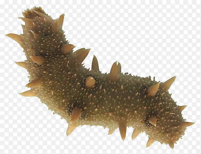 ʸ�����������ز�-������