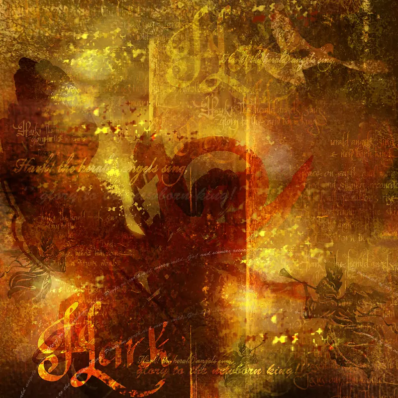 ���ű���-������