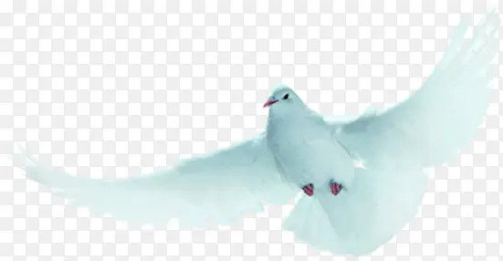 ��ɫ�����ֻ�׸�-������