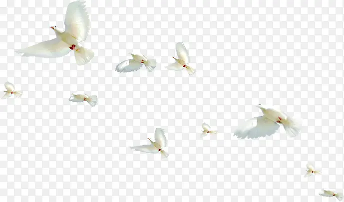 ��ɫΨ������׸�-������