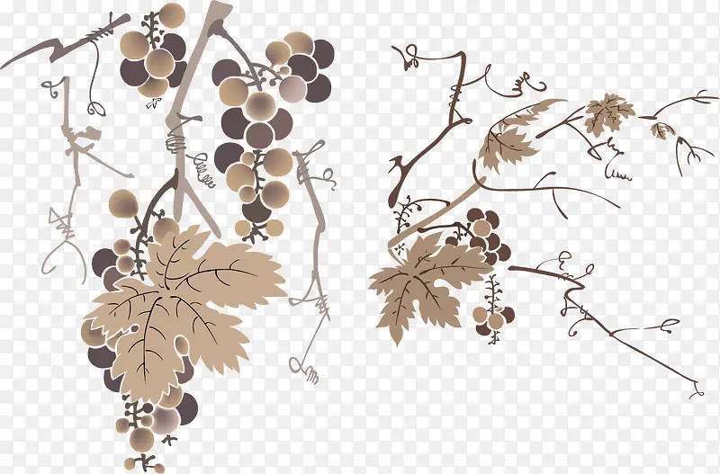 һ����ī������-������