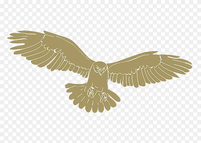 ��ӥͼ��-������