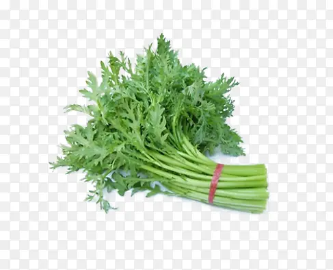 ���ʵ������ز�ͼƬ-������