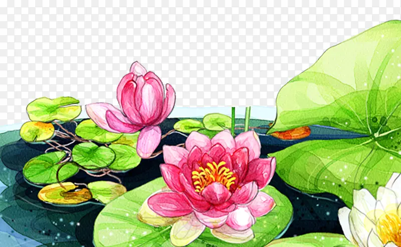 ��ͨ�ֻ���ɫ��Ҷ�ɻ�����-������