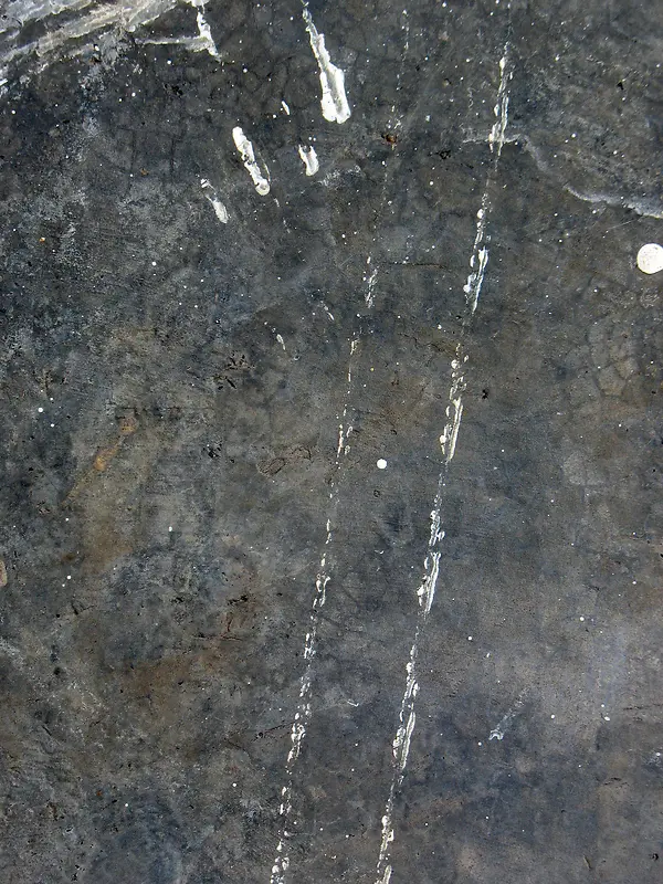 ������ǽ��������-������