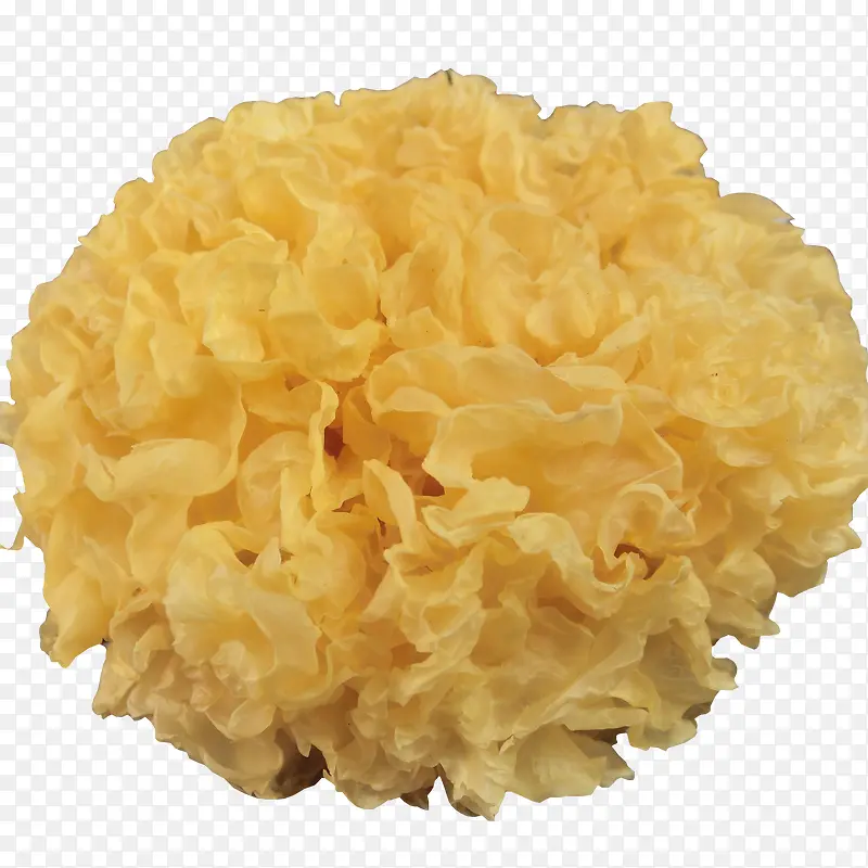 ʳ������-������