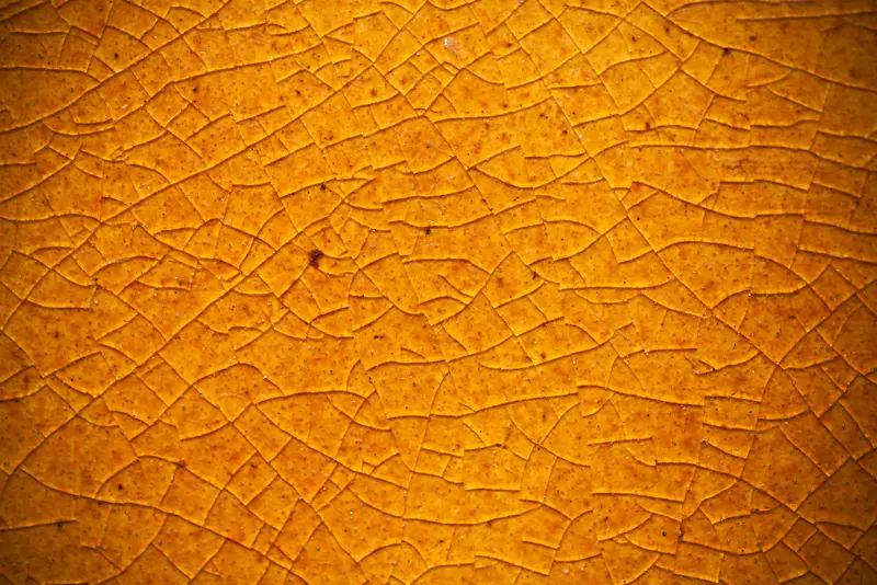 ��ɫ������������-������