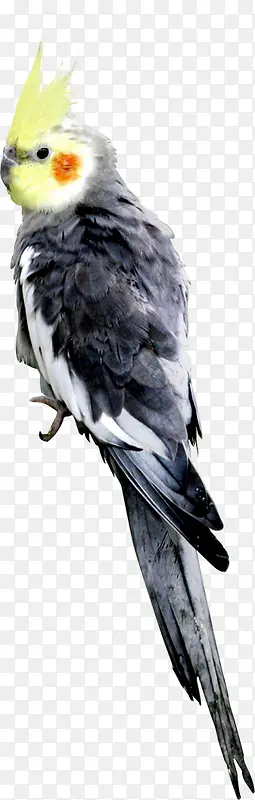 Ψ���ɰ���������-������