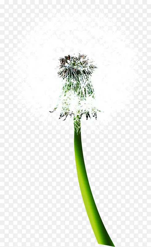 ��ɫΨ���ѹ�Ӣ����-������