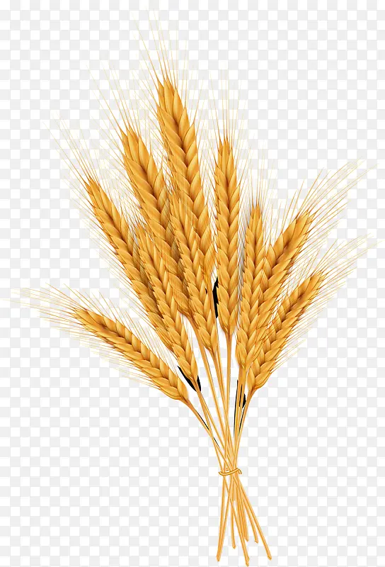 ��������ز�-������