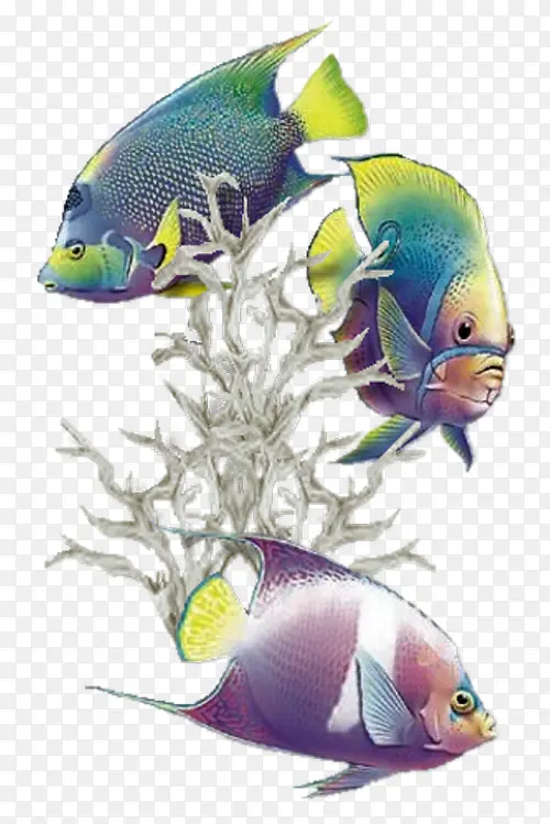 ���������ز�-������