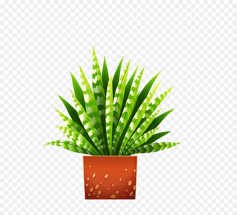 ���տ�ͨС���²廭��ɫ�廭-������