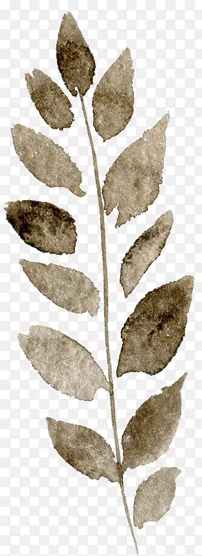 ͸������ˮ�ʻ��仨��ֲ���ز�-������