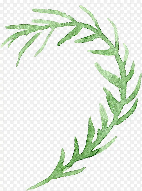 ͸������ˮ�ʻ��仨��ֲ���ز�-������