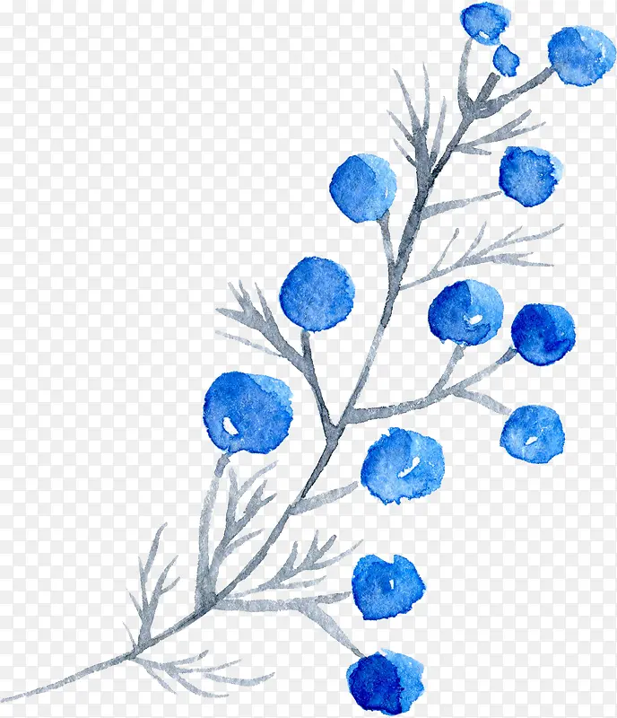 ͸������ˮ�ʻ��仨��ֲ���ز�-������