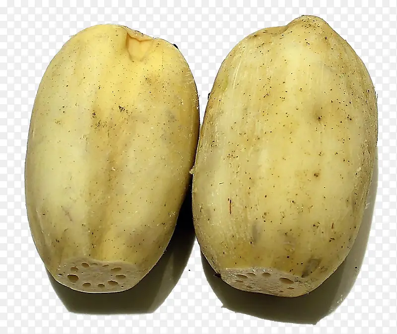 ���ʸе������߲�-������