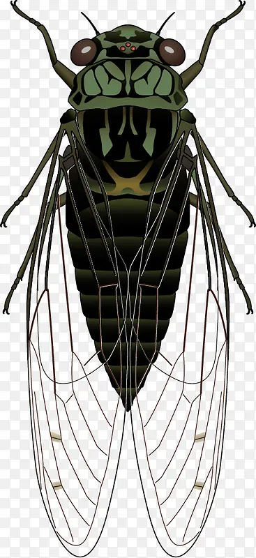 ����ɫ���Ʋ�ʸ���ز�-������