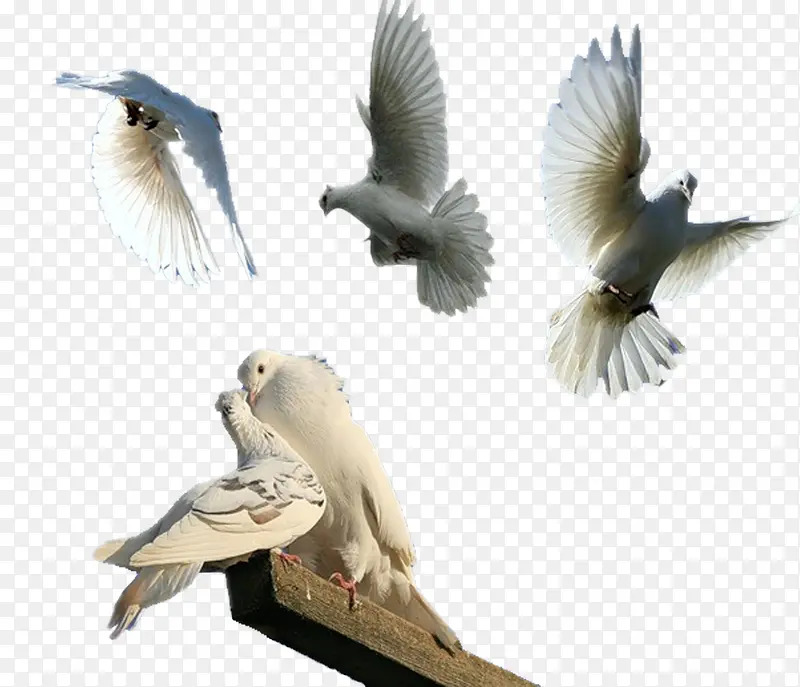 ���ַ����ز�-������