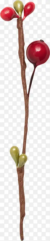 ��֦��ʵ-������