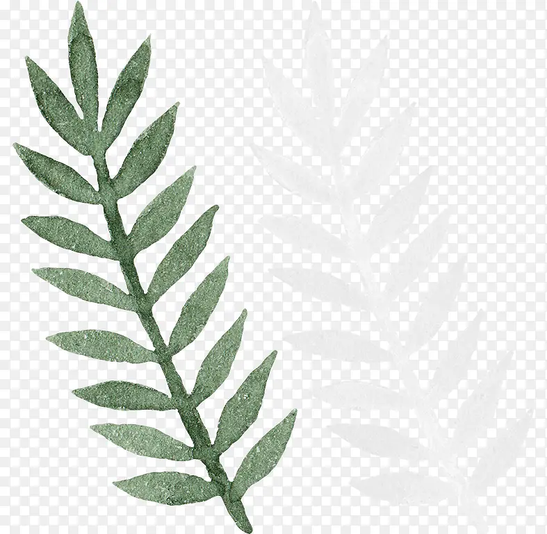 С�����ֻ���Ҷ�廭�ز�-������