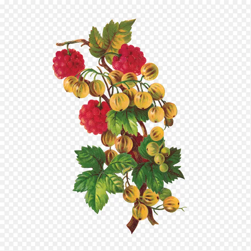 �ֻ�ˮ��-������