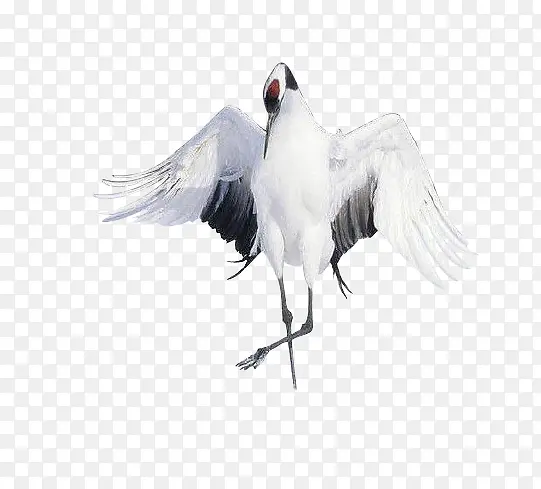 �������ſ����ĵ�����-������