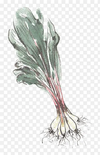 �ֻ���-������