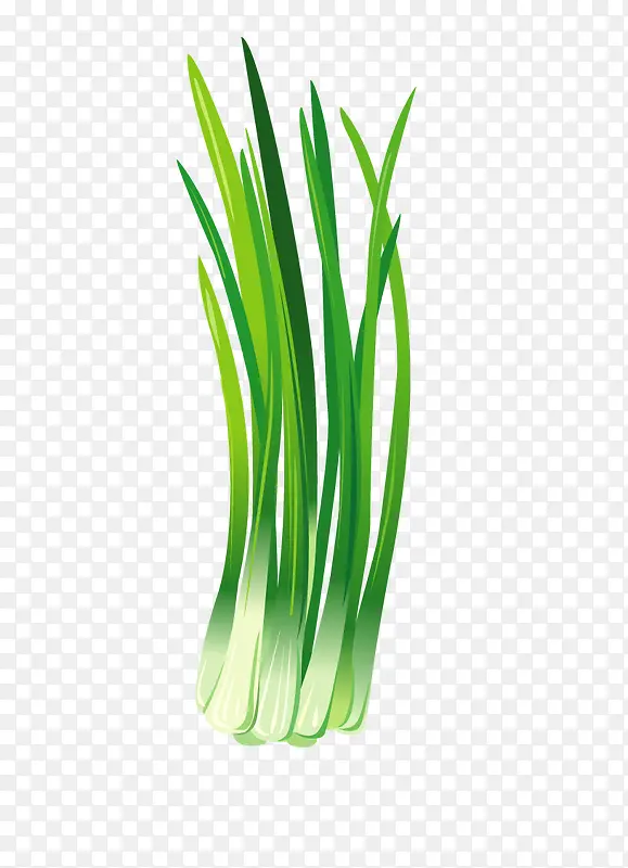 �л��߲�-������