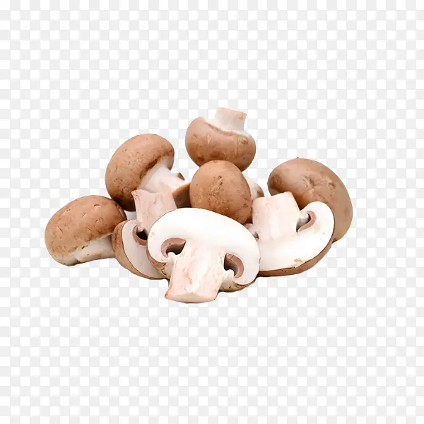 �л��߲��㹽-������