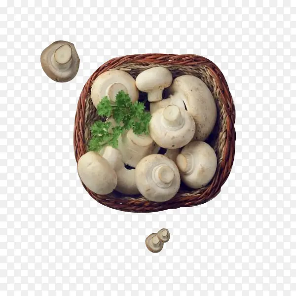 �л�ʵ���㹽-������