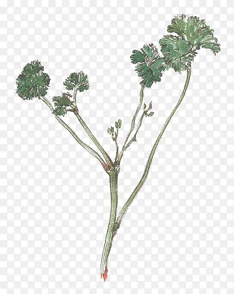 �ֻ����-������