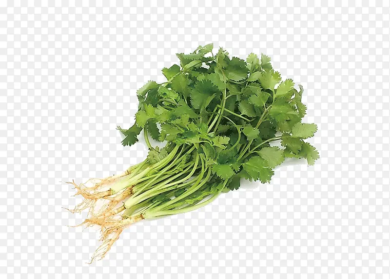 ���ͼƬ�ز�-������