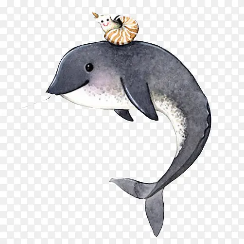 �����ֻ�ɫ��ͼƬ-������