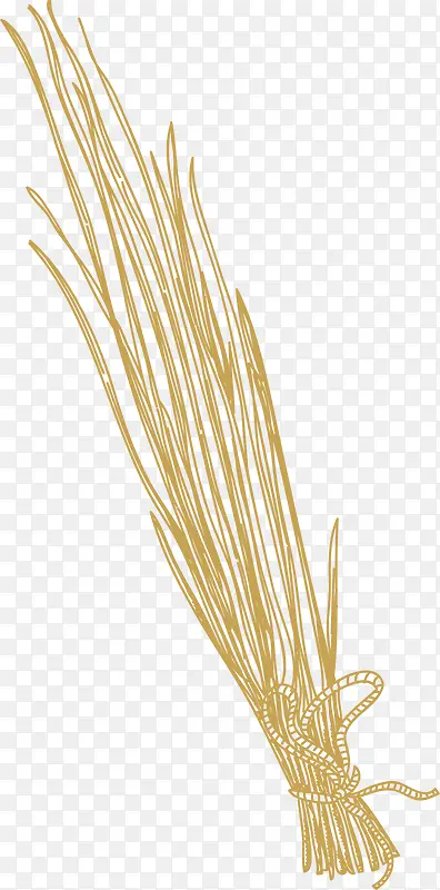 ��ͨ�Ļ��ʳ������-������