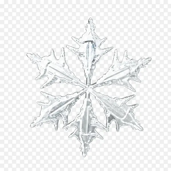 ʥ��������ѩ��-������