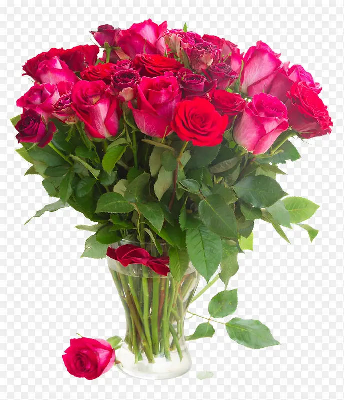 ������ƿ���õ��ͼƬ[-������