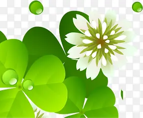 ��ɫ��ͨ������Ҷ��-������