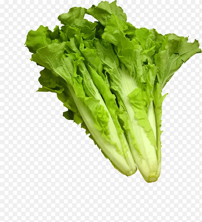 �����߲�-������