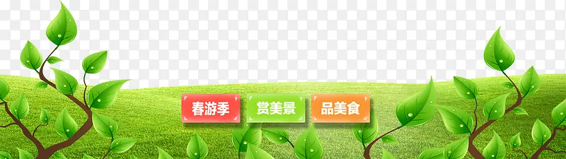 ƽ�濨ͨ��֦װ��-������