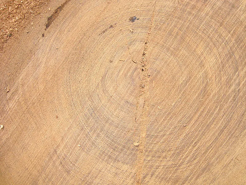 Բ�����Ʊ����ز�-������