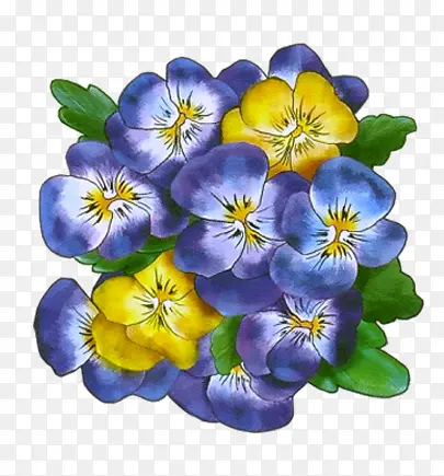 �ֻ���ɫ������ز�-������