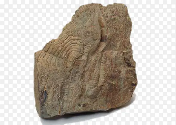 ��ʯͼƬ-������