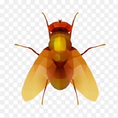 �ֻ�ƺ�ɫ�ɰ���Ӭ-������