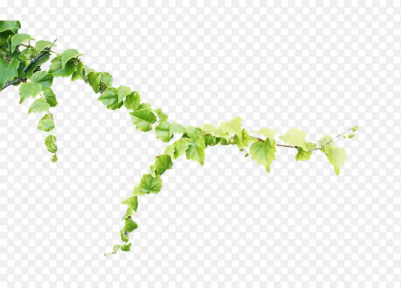 ����ͼƬ�ز�-������