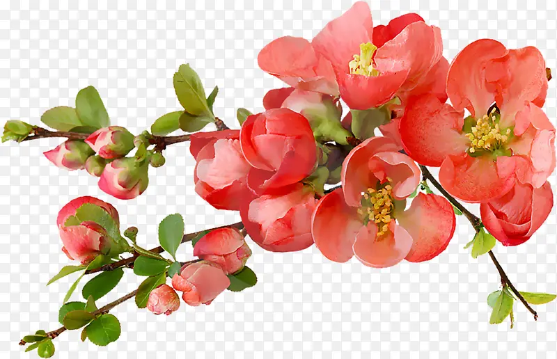 ʢ���Ļ���-������